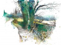 Ian Fennelly - Leafy Lane
